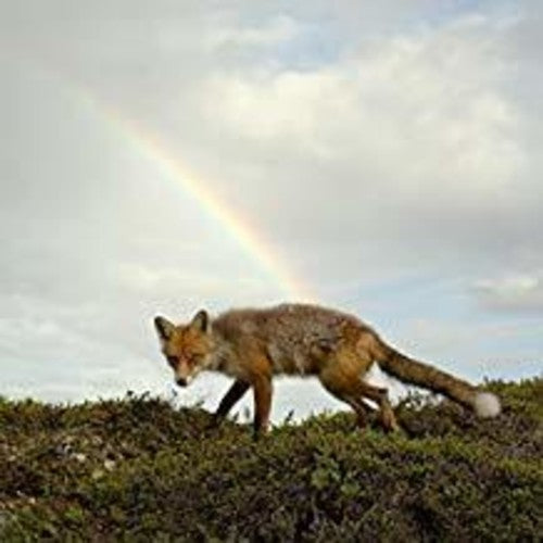 Buck Meek - Buck Meek [CD]