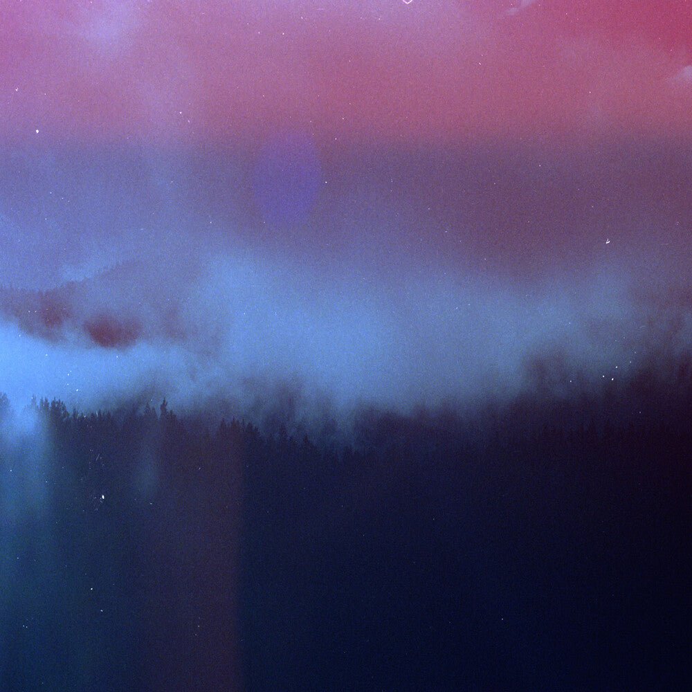 Mute Forest - Riderstorm [Limited Edition]