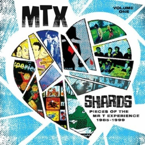 Mr T Experience - Shards Vol. 1 [LP] Vinyl Record