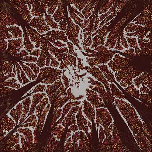 Crown Shyness [CD]