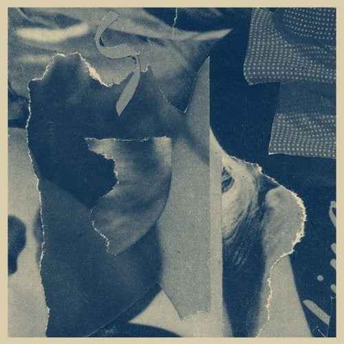 Distant Companion [LP]