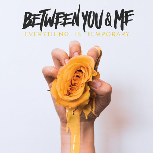 Between You & Me - Everything Is Temporary Music CD