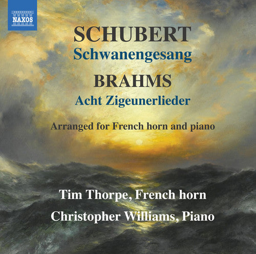 Brahms / Shubert - Schwanengesang [CD]