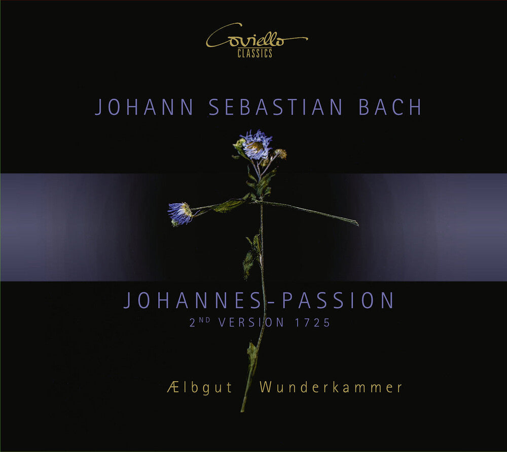 J Bach S / Aelbgut / Wunderkammer - Passion Music CD