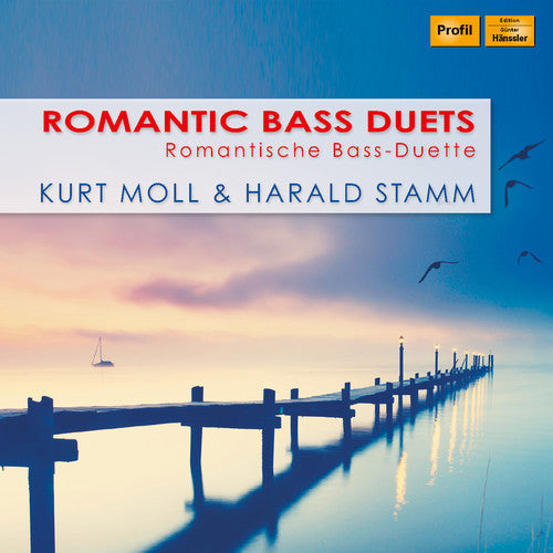 Dvorak / Stamm / Grunelius - Romantic Bass Duets [CD]