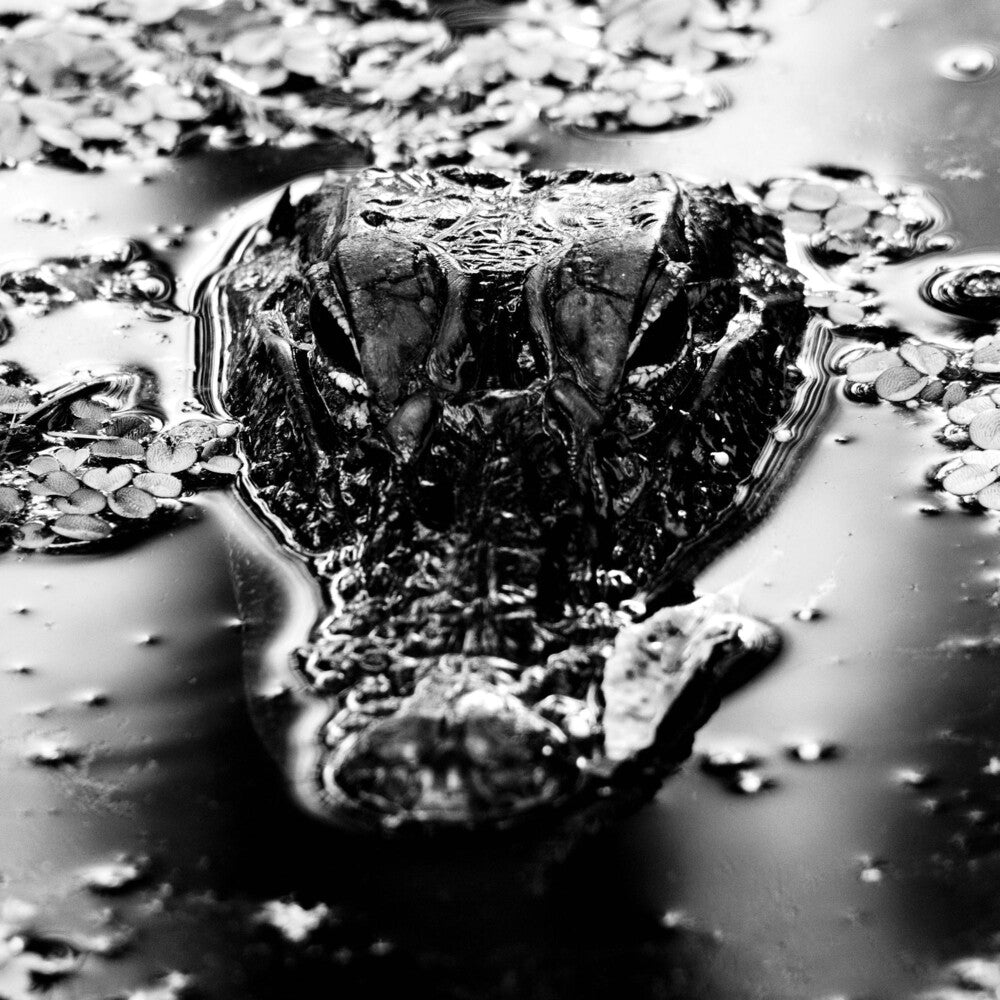 Many Blessings - Emanation Body [LP] Vinyl Record