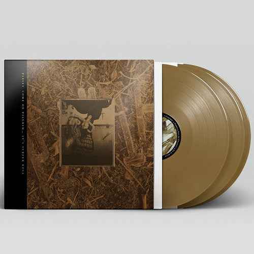 Come On Pilgrim... It's Surfer Rosa: 30th Anniversary Deluxe Edition [Bronze 3LP]
