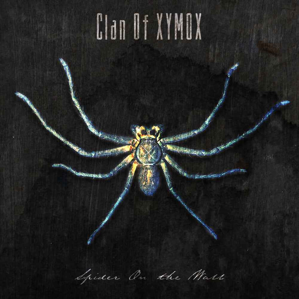 Spider On The Wall [CD]