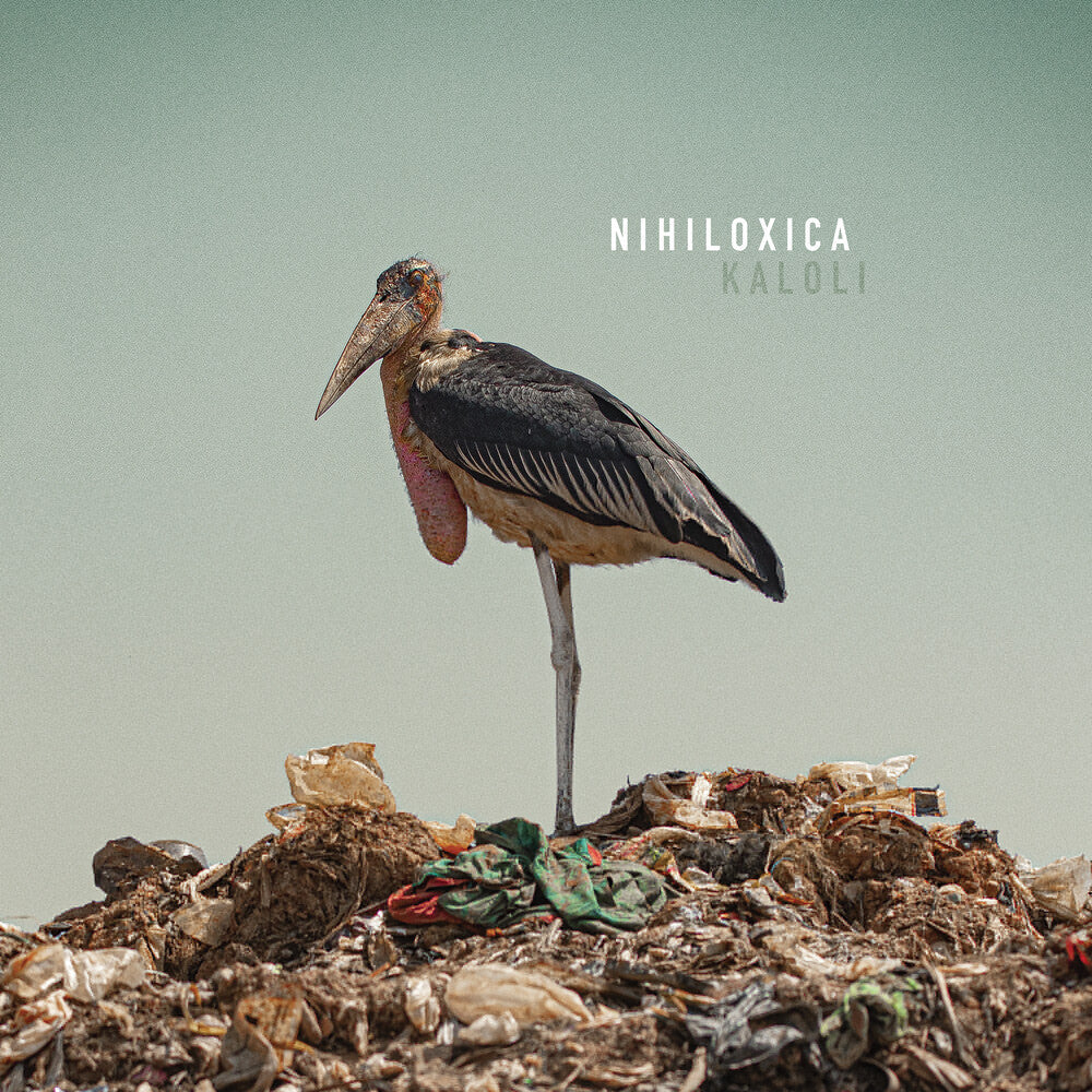 Nihiloxica - Kaloli [LP] Vinyl Record