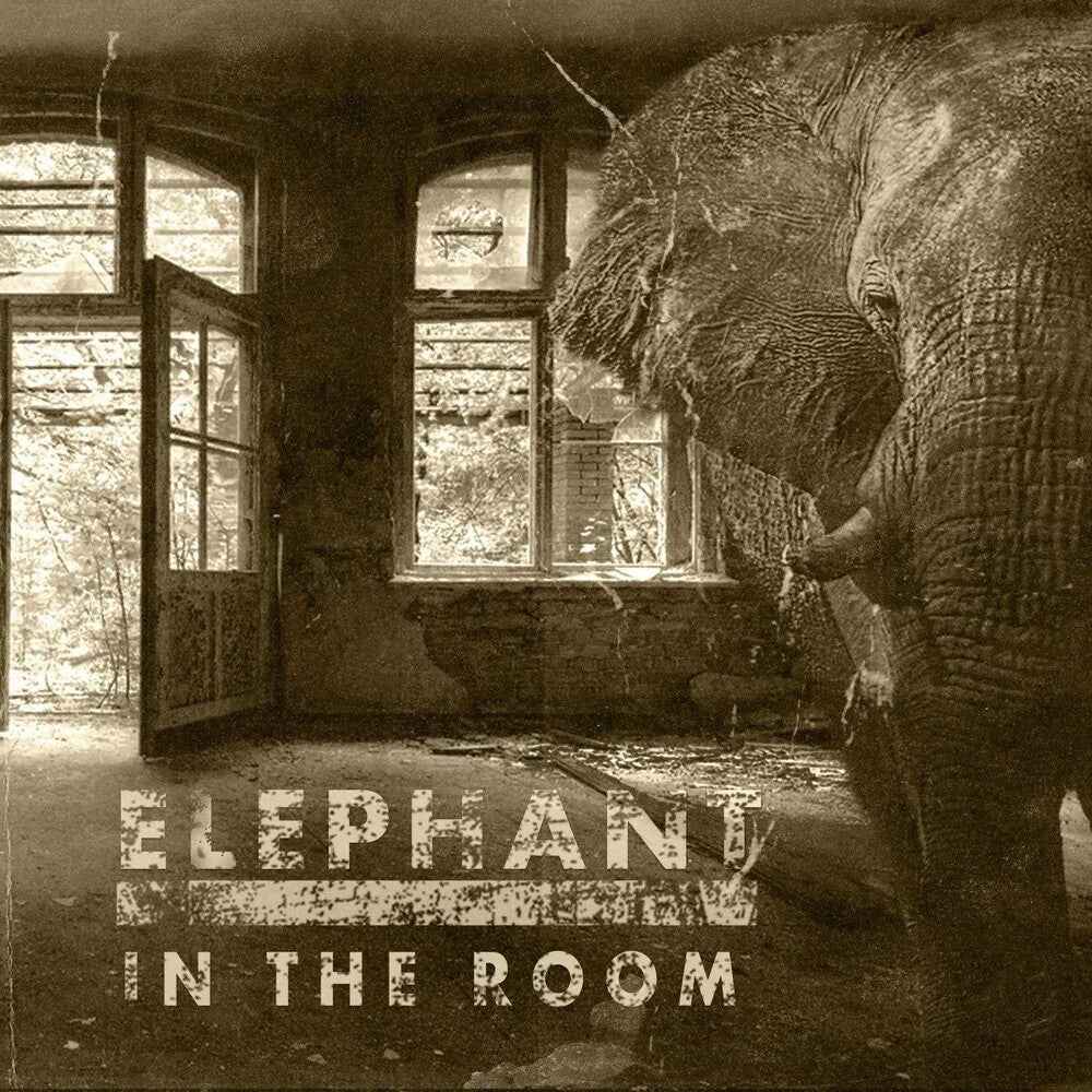 Elephant In The Room [LP]