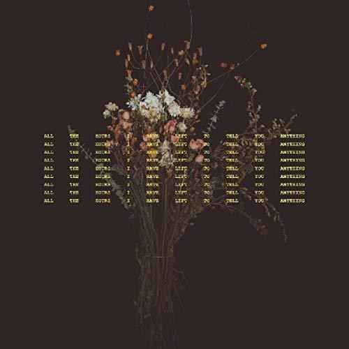 All The Hours I Have Left To Tell You Anything [LP]