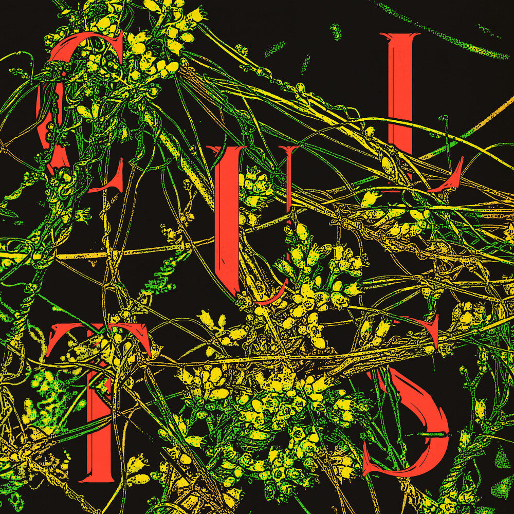 Cults - Host [LP] Vinyl Record