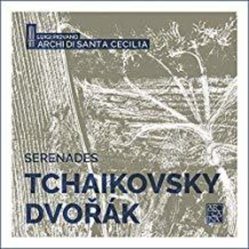 Dvorak / Piovano - Serenades Music CD