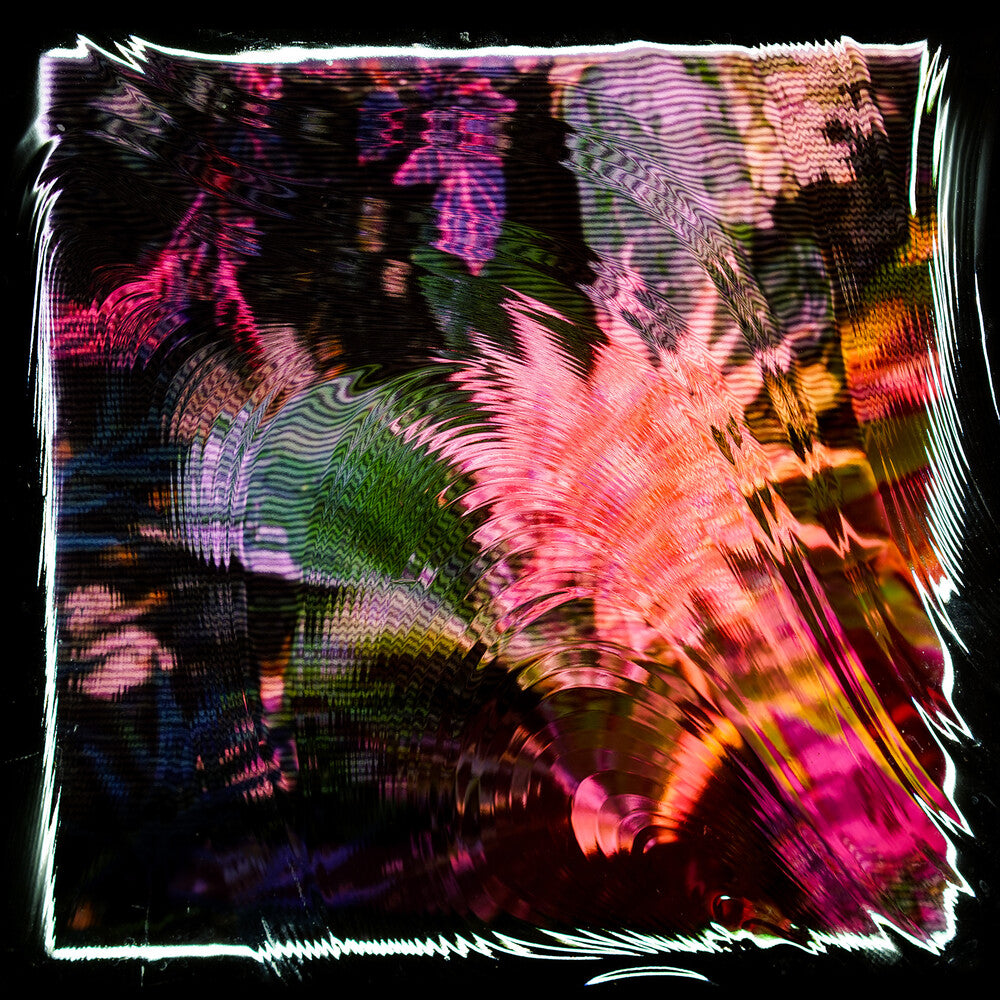 Camila Fuchs - Kids Talk Sun [CD]