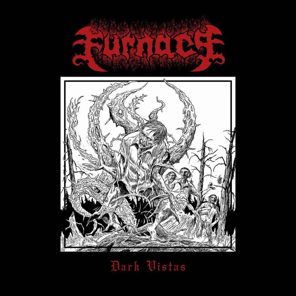 DARK VISTAS [LP]