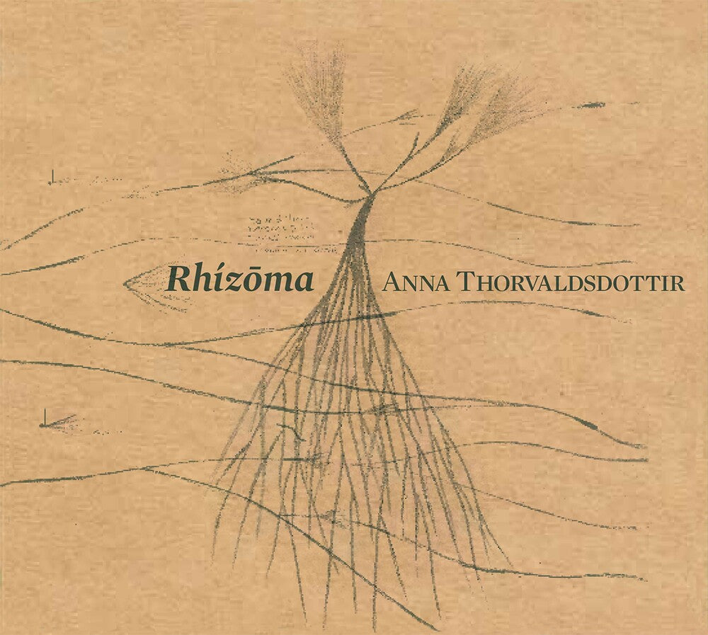 Thorvaldsdottir / Caput Ensemble / Bjarnason - Rhizoma [CD]