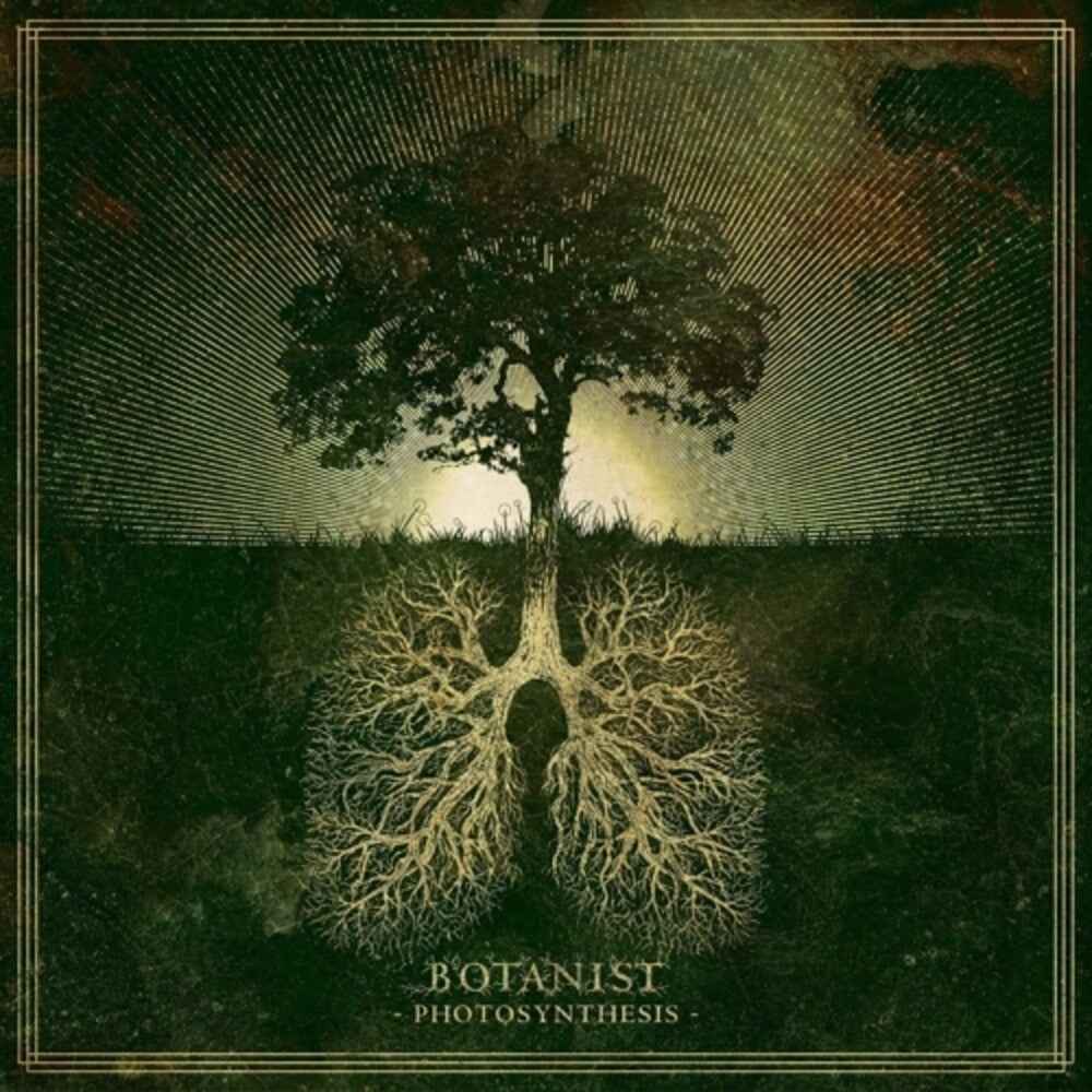 Photosynthesis [LP]
