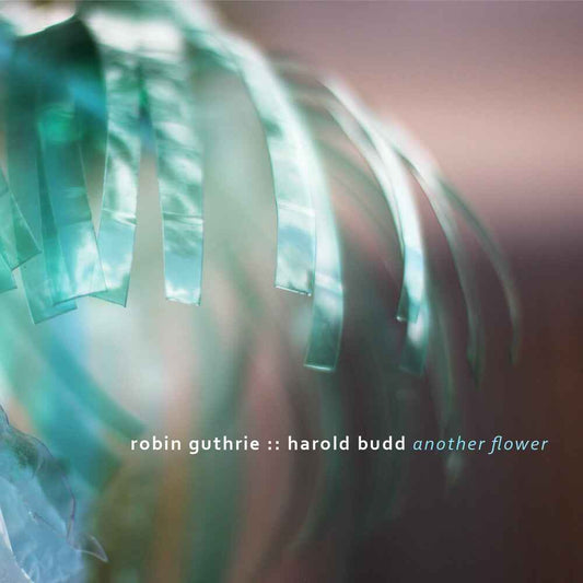 Another Flower [Digipak]
