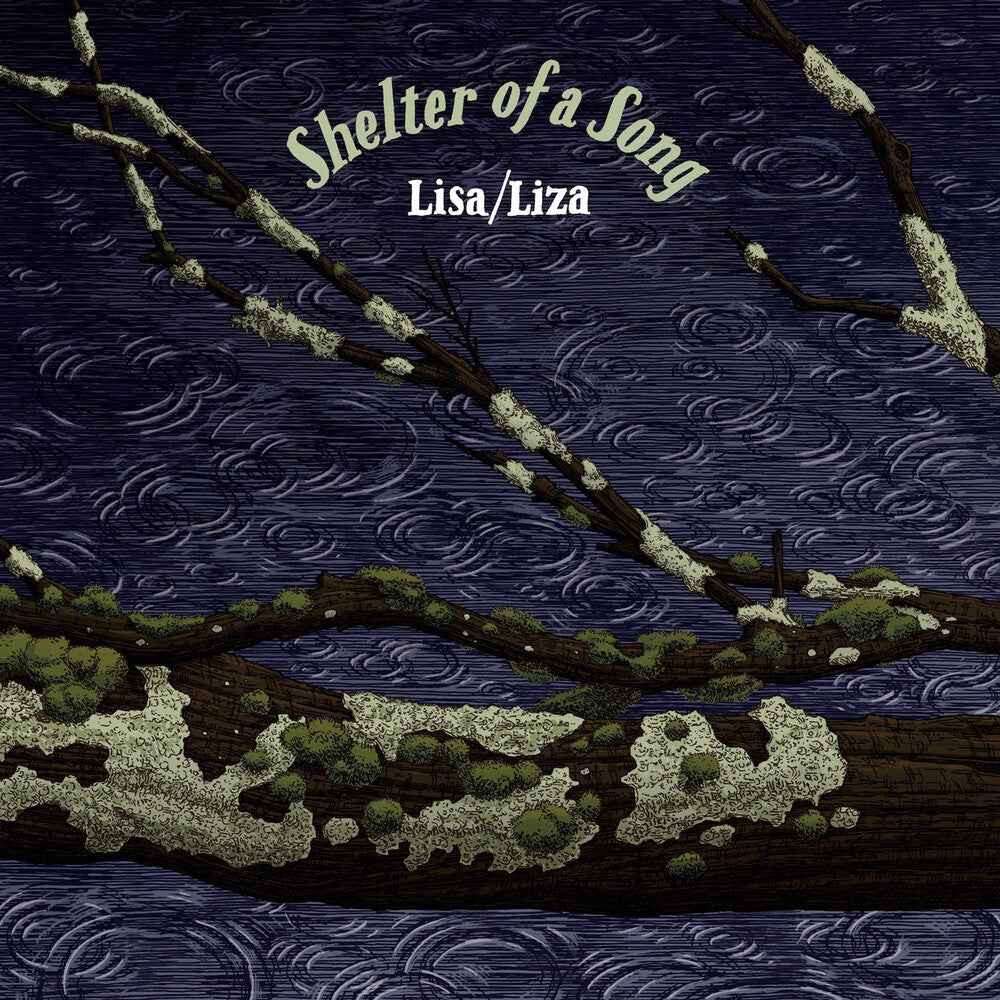 Shelter Of A Song [LP]