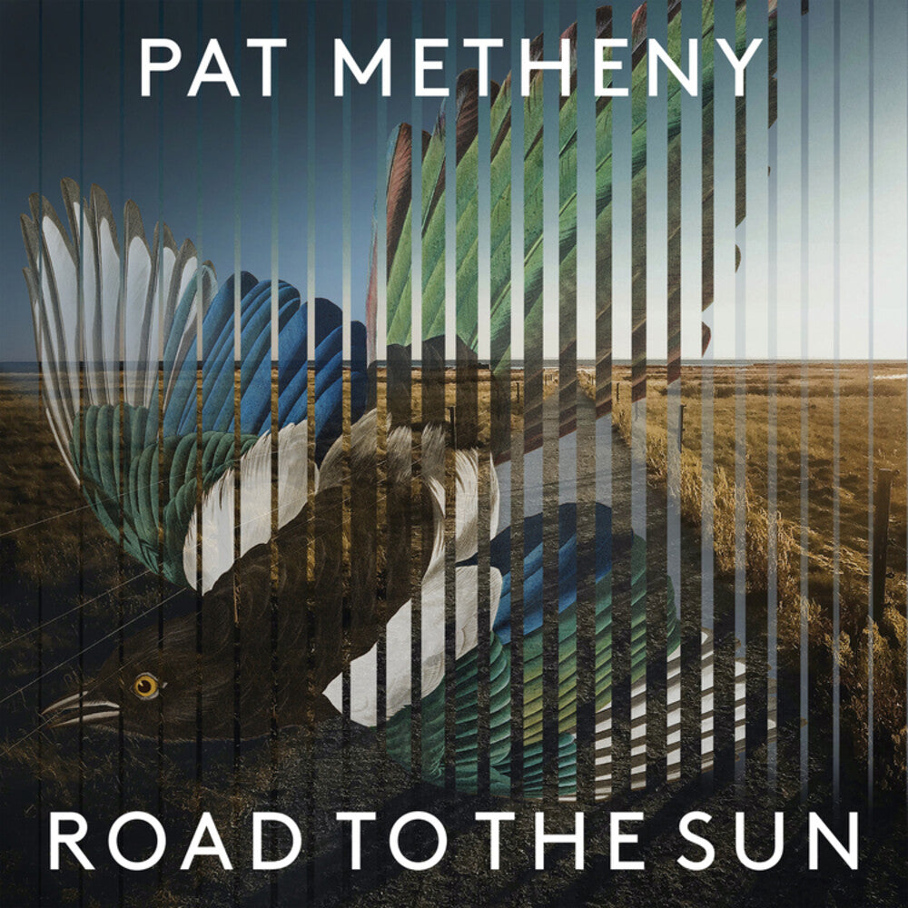 Pat Metheny - Road to the Sun [2LP] Vinyl Record
