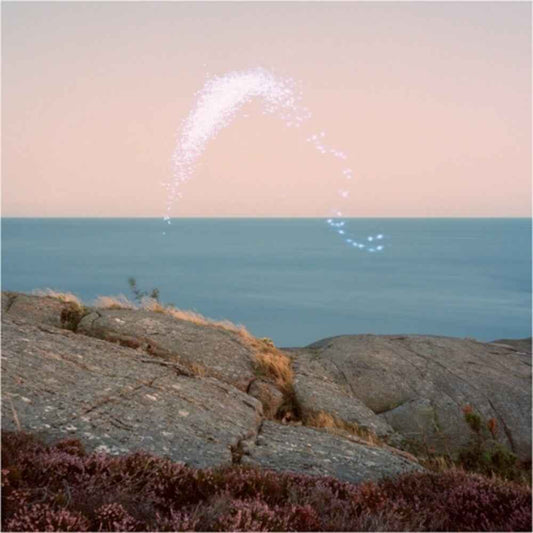 An Overview on Phenomenal Nature [CD]