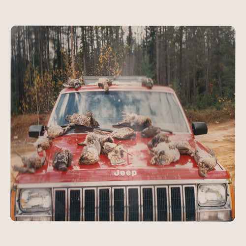 Are Sing Sinck Sing [LP]