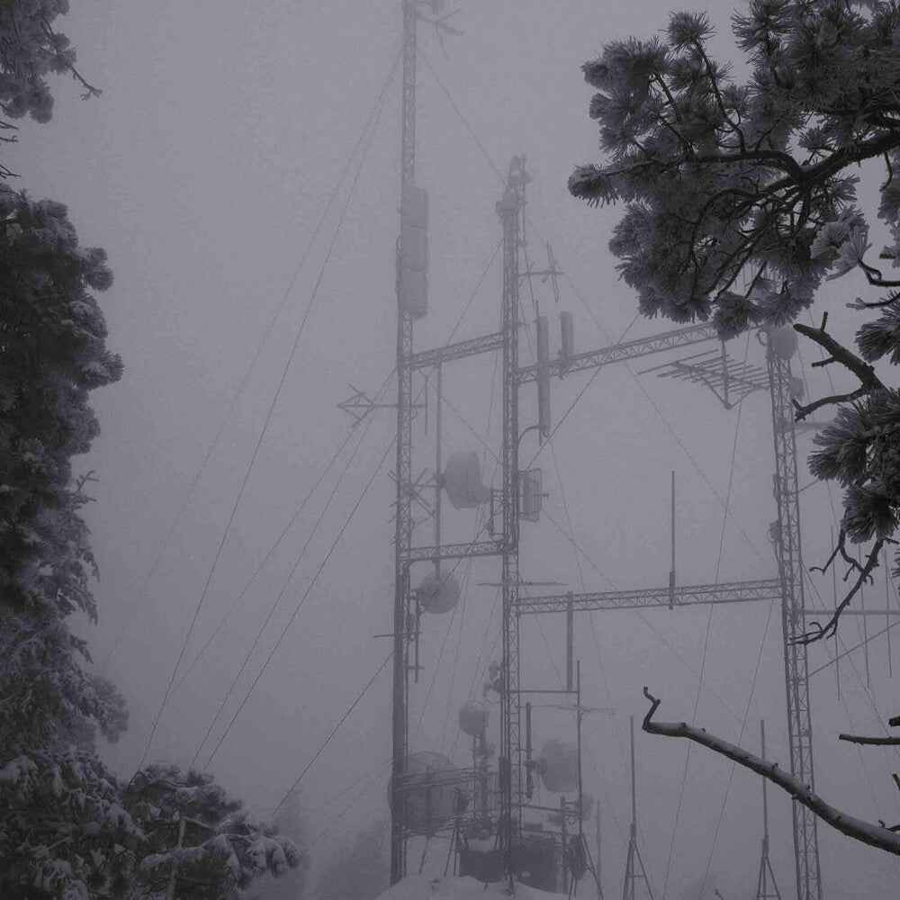 On Hold [LP]