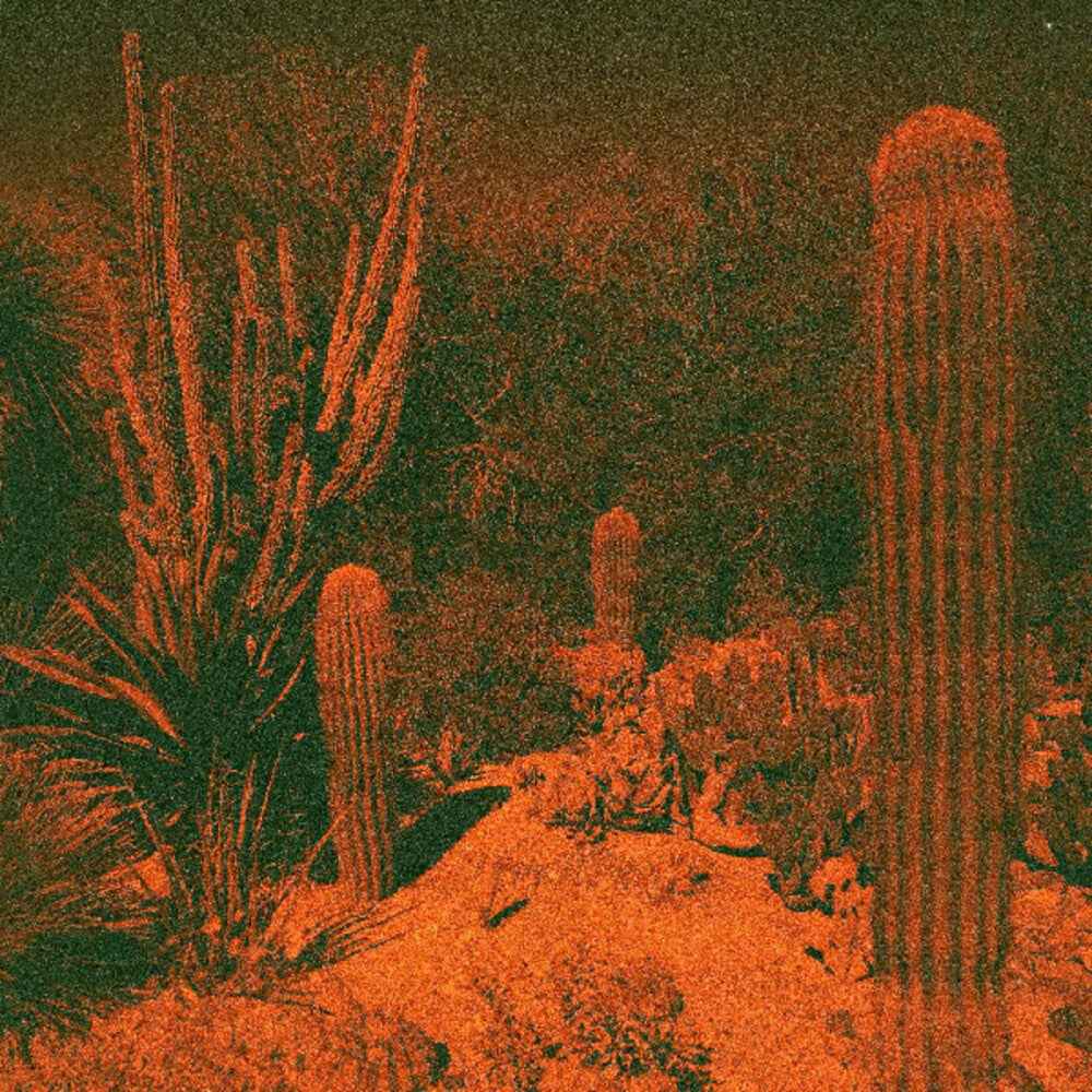 Anticipation [LP]