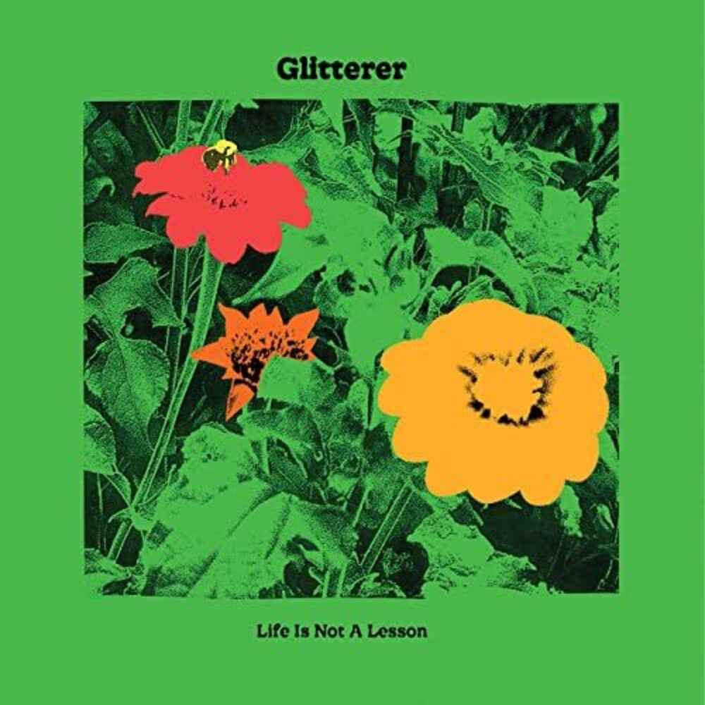 Life Is Not A Lesson [CD]