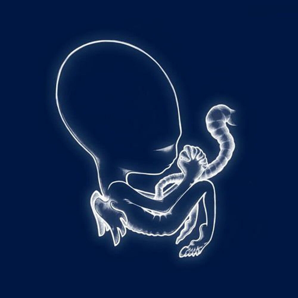 Sigur Ros - Agaetis Byrjun [LP] Vinyl Record