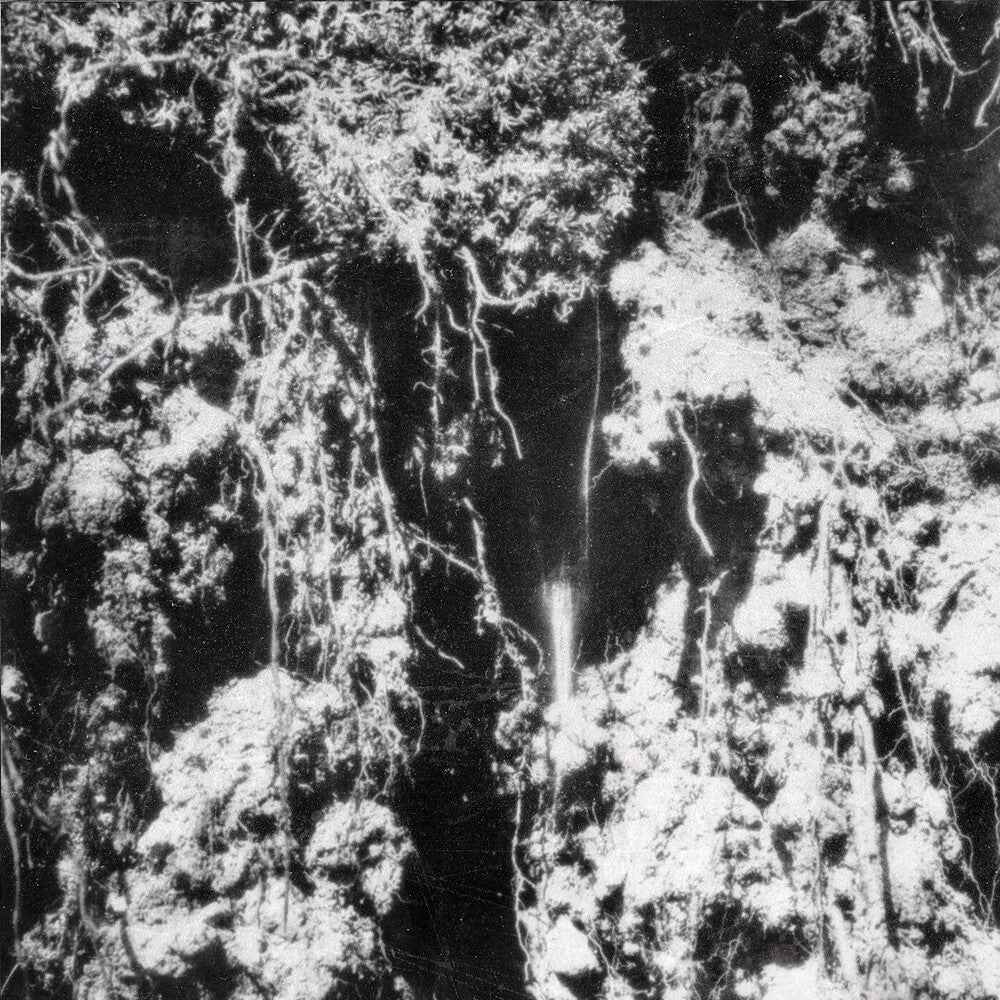 Den Sorte Dod [LP]