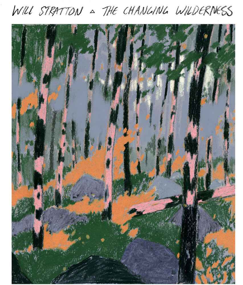 Changing Wilderness [LP]