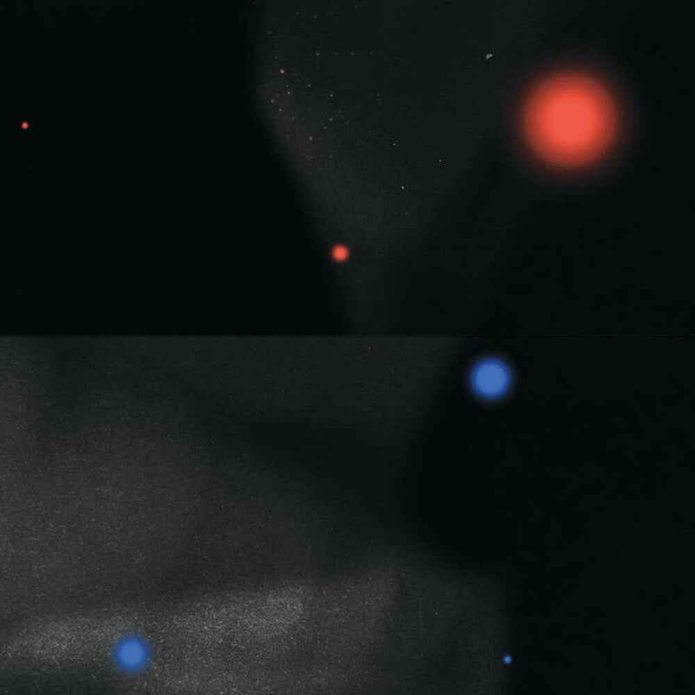 Six [LP]