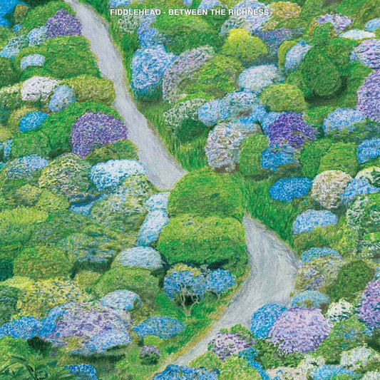 Between The Richness [CD]