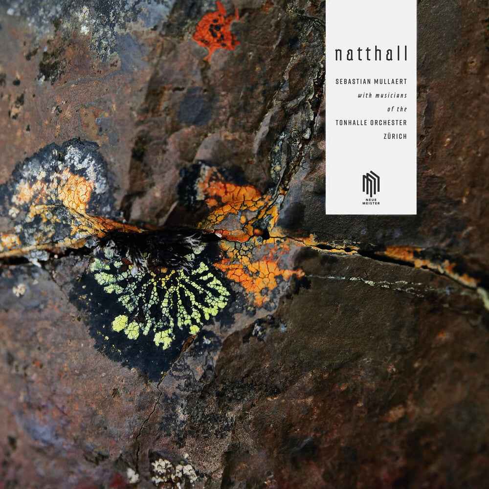 Natthall (2pk) [LP]