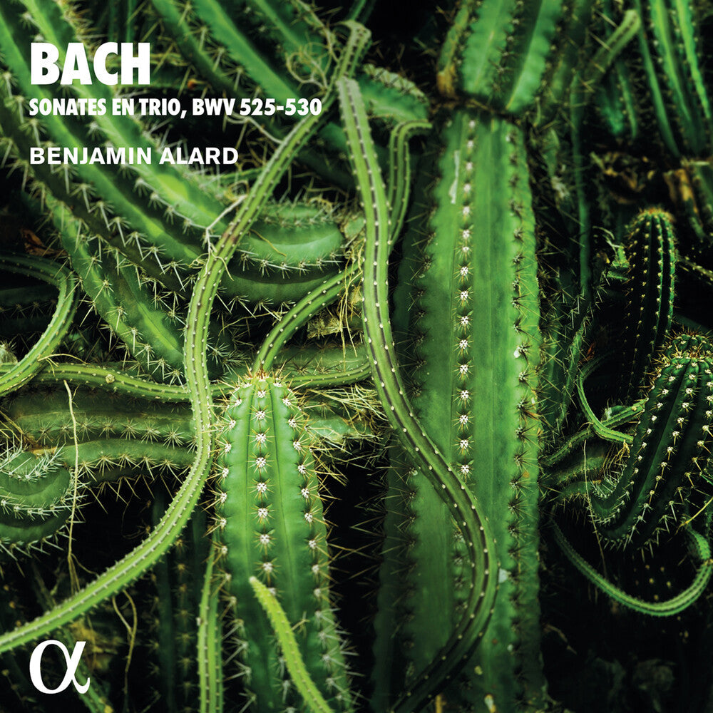Bach, J.S. / Alard - Trio Sonatas for Organ [CD]