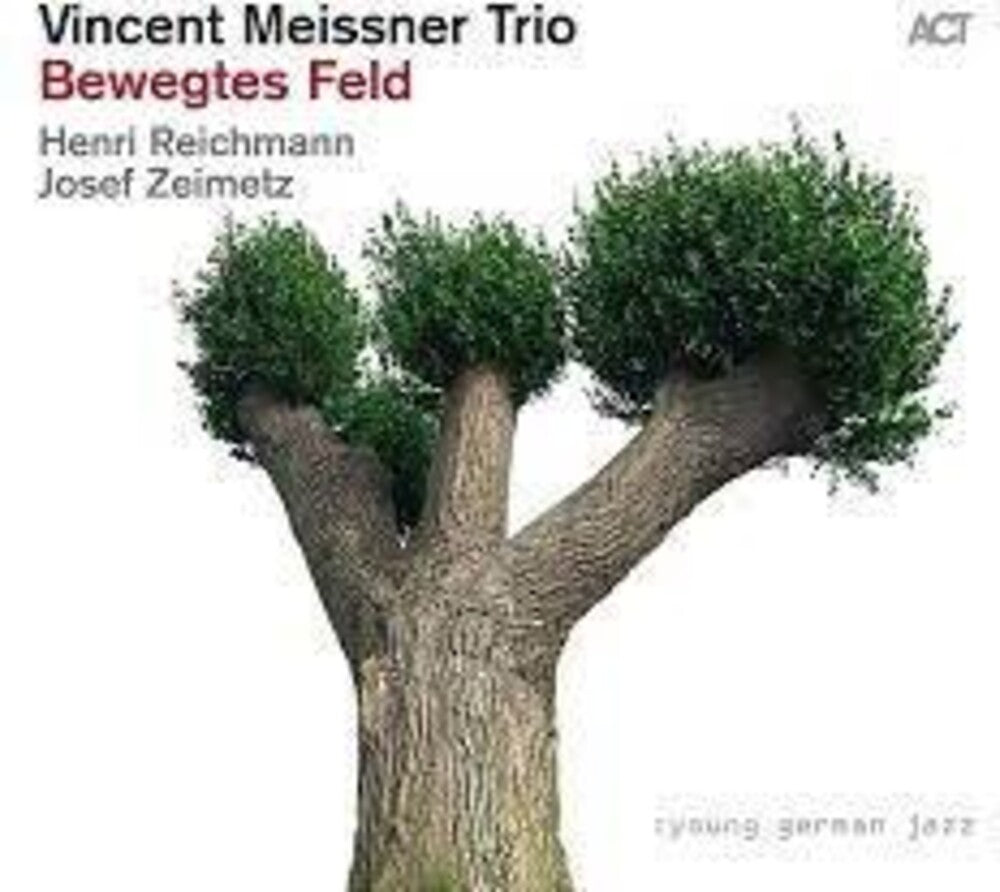 Vincent Meissner  Trio - Bewegtes Feld (Aus) [CD]
