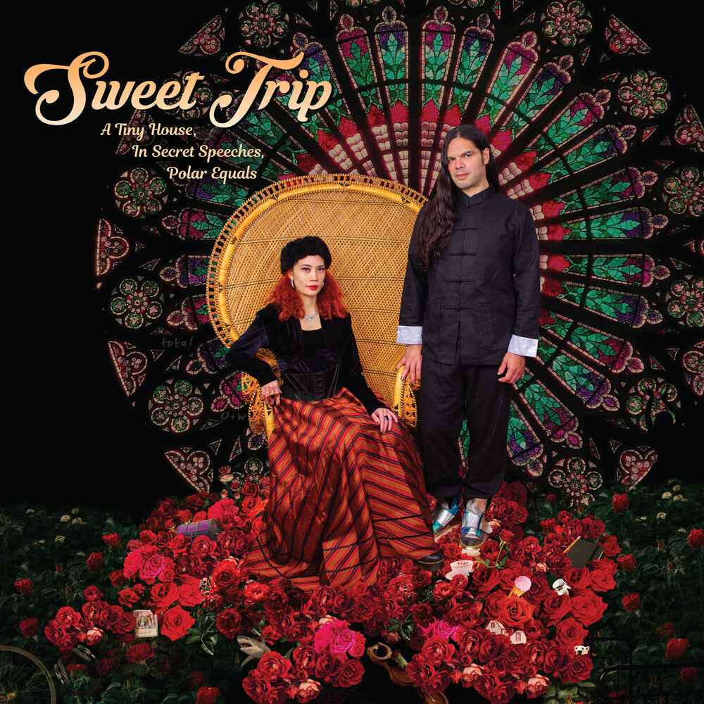 Tiny House In Secret Speeches Polar Equals-Cover B [LP]