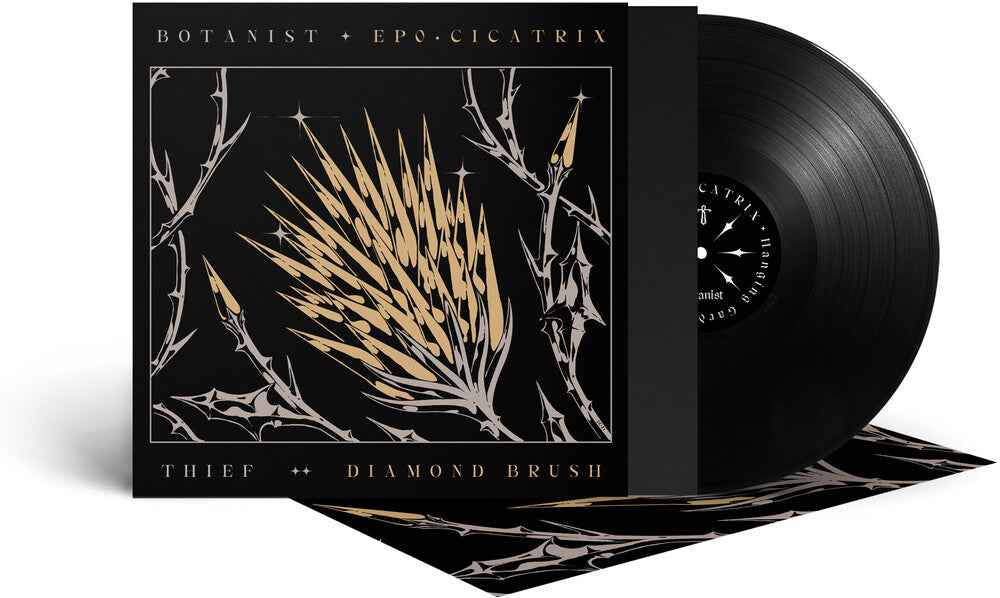 Cicatrix / Diamond Brush [LP]