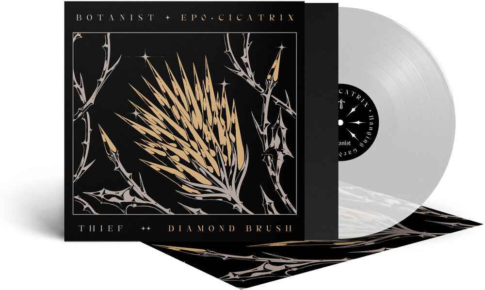 Cicatrix / Diamond Brush (Clear Vinyl) [Colored Vinyl]