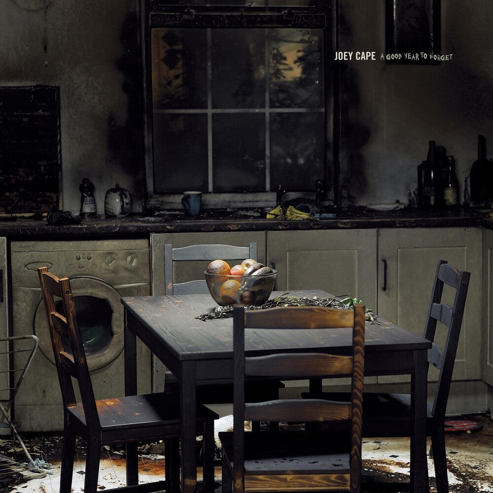 Joey Cape - A Good Year to Forget [CD]