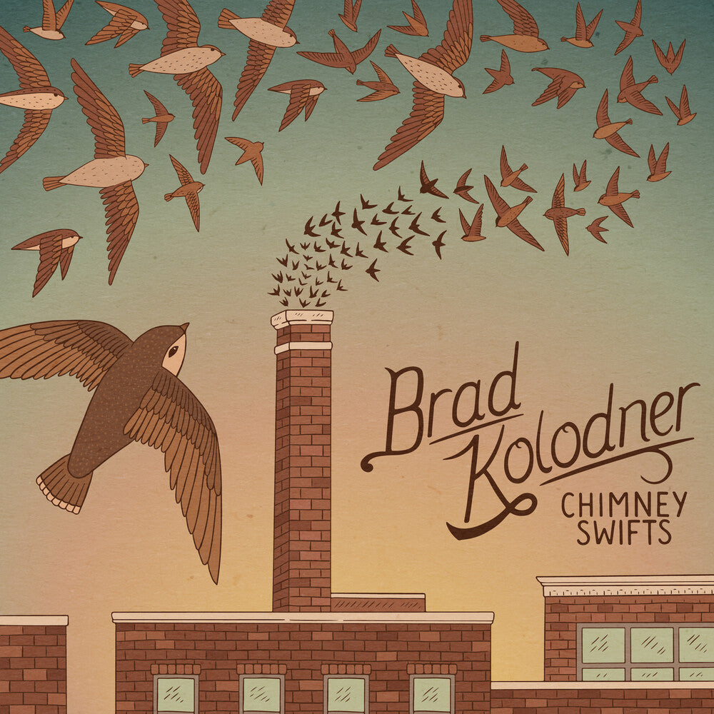 Brad Kolodner - Chimney Swifts Music CD