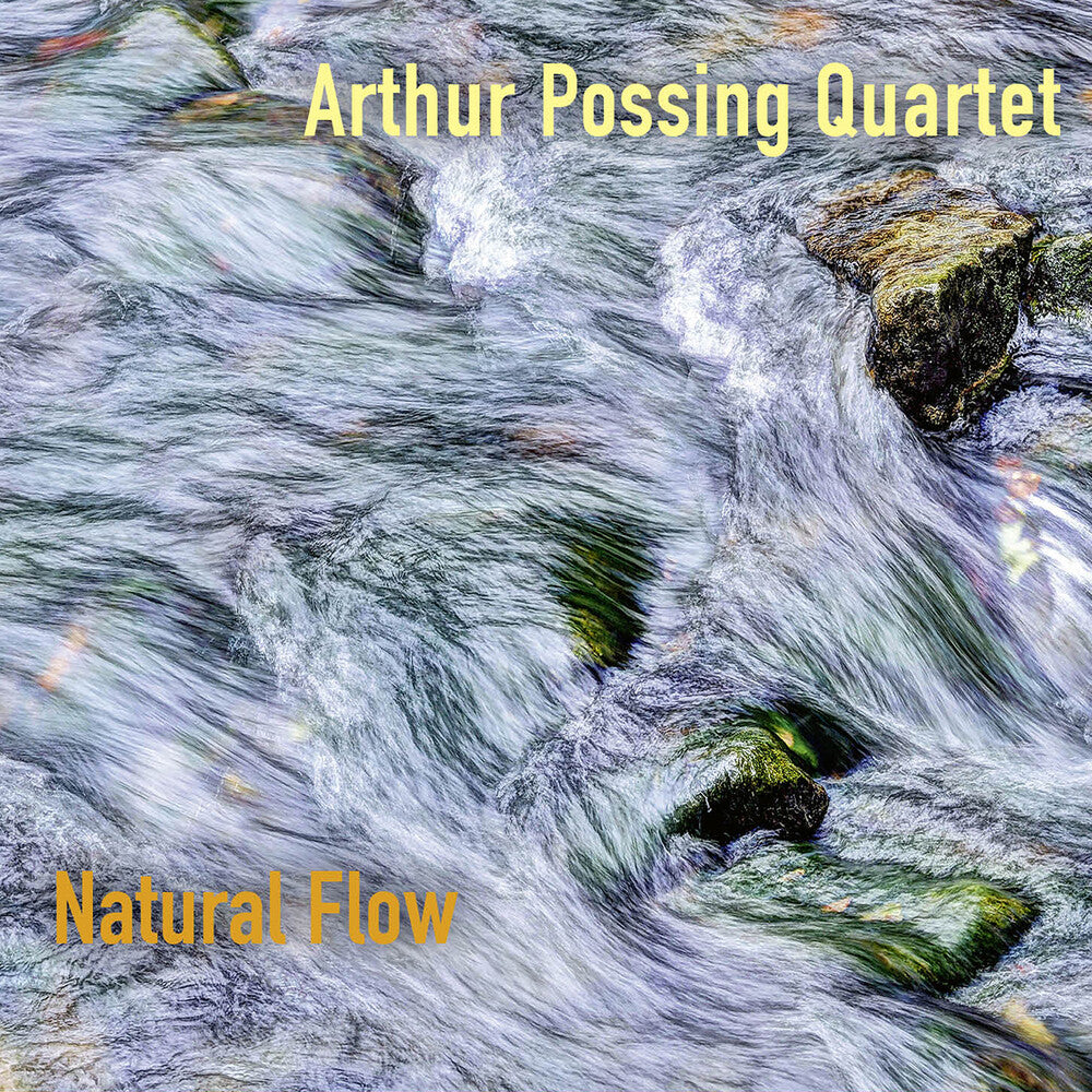 Arthur Possing Quartet - Natural Flow [CD]