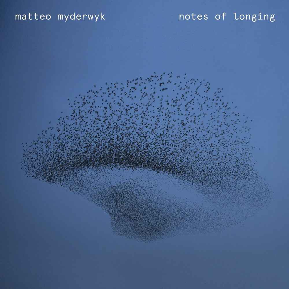 Notes Of Longing [LP]