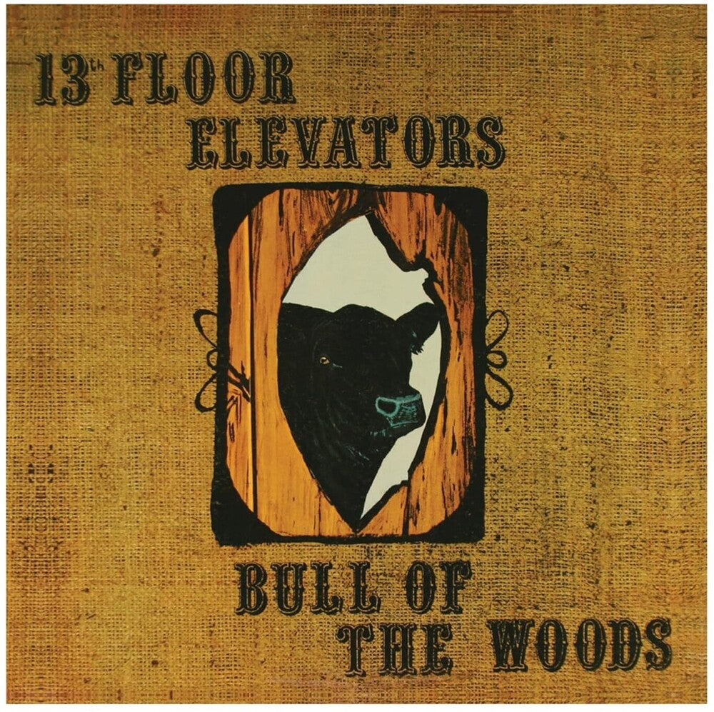 The 13th Floor Elevators - Bull Of The Woods [2 CD]