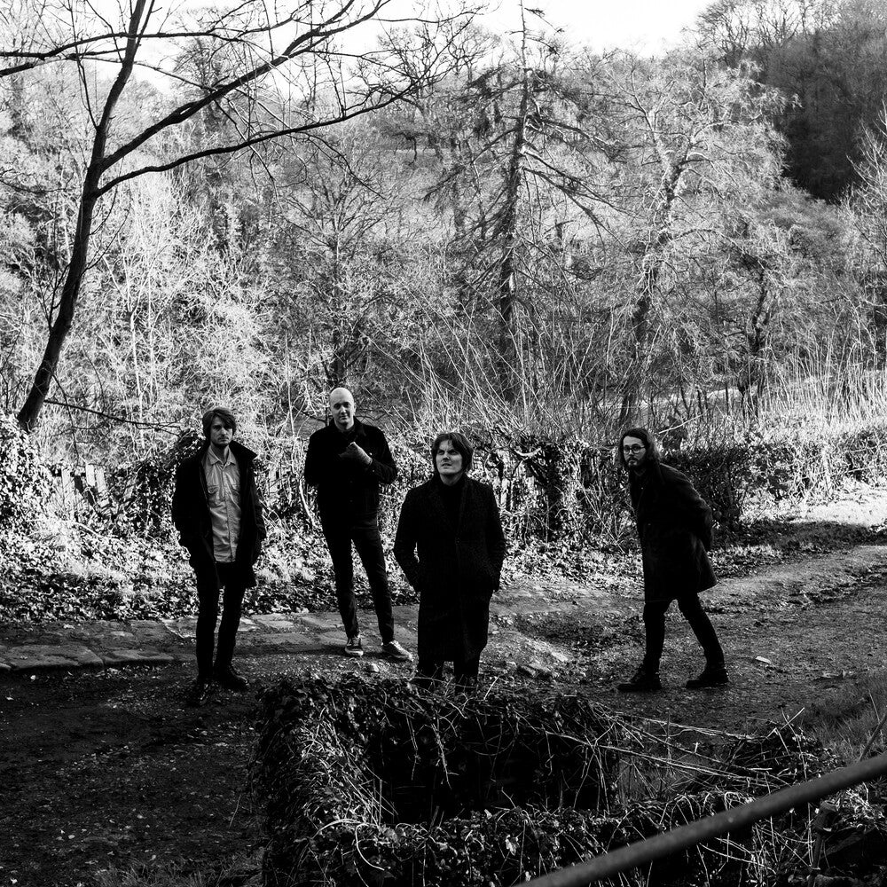 Be Positives - Everything About [LP] Vinyl Record