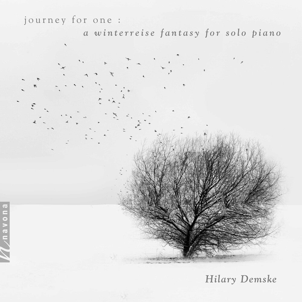 Schubert / Demske - Journey For One [CD]
