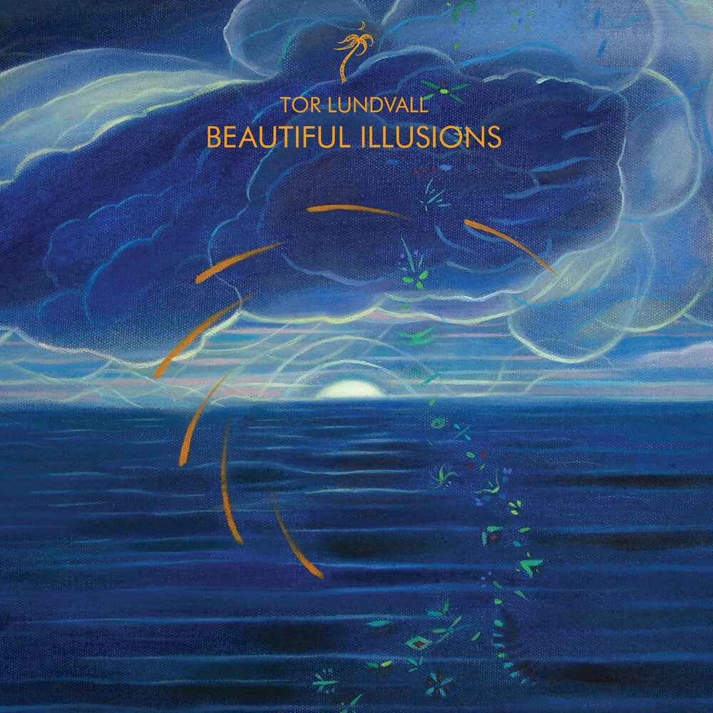 Beautiful Illusions [Black LP]