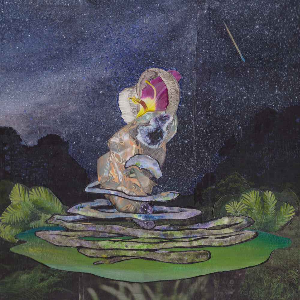 Meteors Could Come Down [LP]