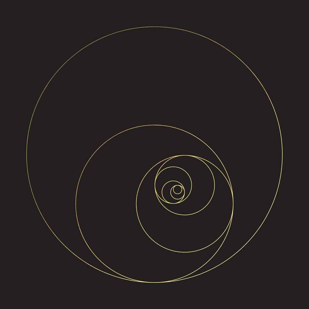 Phanerozoic Live (Blk) [LP]